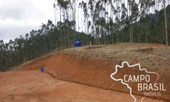 Imagem 3: ÁREA 31.000M² EM MONTEIRO LOBATO !