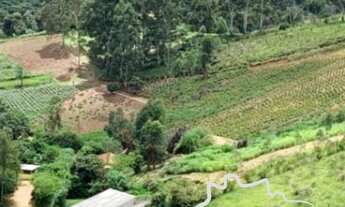 Imagem: FAZENDA COM 30 ALQUEIRES EM SILVEIRAS /SP