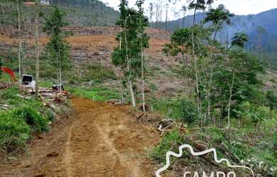 Imagem 7: ÁREA 22.000 EM MONTEIRO LOBATO !