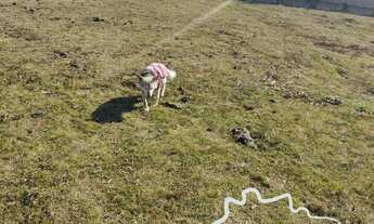 Imagem 7: CHÁCARA 3.790M² EM CAMPOS DO JORDÃO !