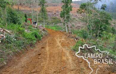 Imagem 6: ÁREA 22.000 EM MONTEIRO LOBATO !