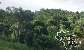 Imagem: ÁREA RURAL 10 ALQUEIRES EM SÃO FRANCISCO