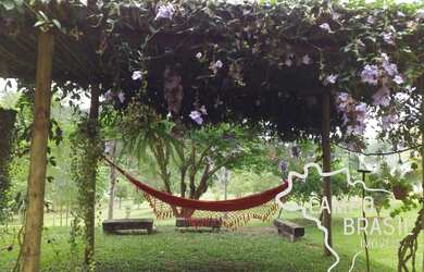 Imagem 5: CHÁCARA 12.000M² EM PARAIBUNA !