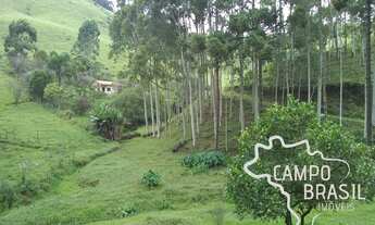 Imagem 6: SÍTIO 9.6 ALQUEIRES EM PARAIBUNA !