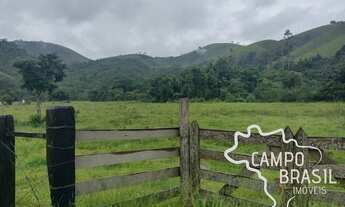 Imagem 2: CHÁCARA 20.000M² EM MONTEIRO LOBATO !