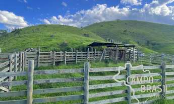 Imagem 7: BELA FAZENDA 140 ALQUEIRES, COM 5 KM DE REPRESA E ESTRUTURA PARA GADO!