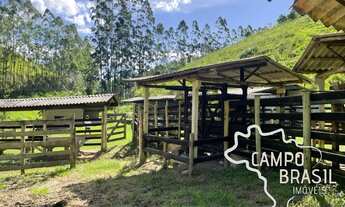 Imagem 3: BELA FAZENDA 140 ALQUEIRES, COM 5 KM DE REPRESA E ESTRUTURA PARA GADO!