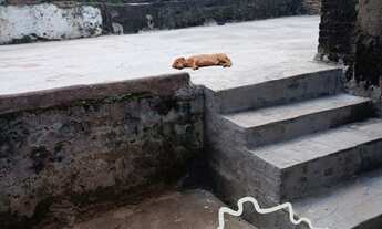 Imagem 7: CASA 270M² NA ZONA NORTE DE SÃO JOSÉ DOS CAMPOS !