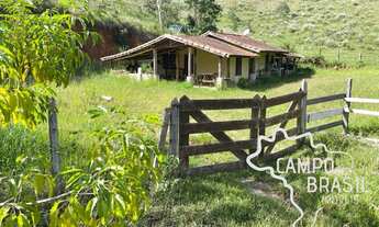 Imagem: Sítio com curral, nascente, pasto formado