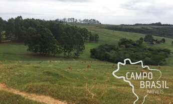 Imagem 3: ÓTIMA FAZENDA 240 HECTARES NO SUL DE MINAS !