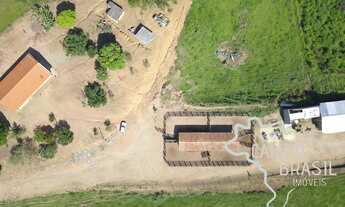 Imagem: FAZENDA 178 HECTARES EM SERRANO !