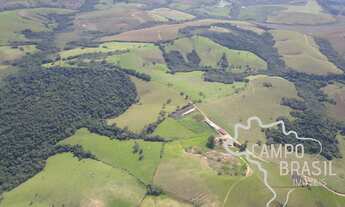 Imagem 3: FAZENDA 178 HECTARES EM SERRANO !