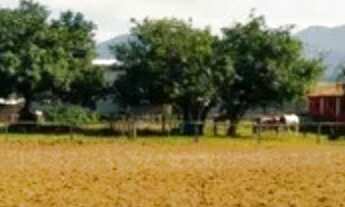 Imagem: HARAS 94.372M² EM TREMEMBÉ !