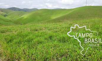 Imagem: FAZENDA 910 HECTARES TOPOGRAFIA MISTA CAPACIDADE