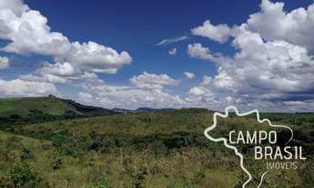 Imagem 7: FAZENDA 700 HECTARES PASTO NATIVO EM MINAS GERAIS !