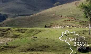 Imagem 5: SÍTIO 7 ALQUEIRES COM PASTO FORMADO EM SÃO LUIZ !