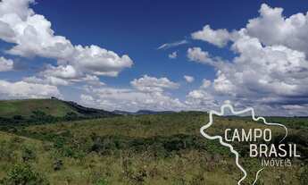 Imagem: FAZENDA 700 HECTARES PASTO NATIVO EM MINAS
