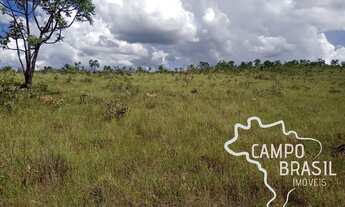 Imagem 6: FAZENDA 700 HECTARES PASTO NATIVO EM MINAS GERAIS !