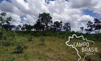Imagem 3: FAZENDA 700 HECTARES PASTO NATIVO EM MINAS GERAIS !