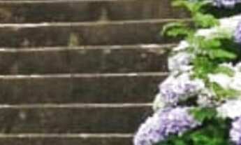 Imagem 3: RARIDADE, CASARÃO CENTENÁRIO EM LIBERDADE - MG !