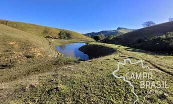 Imagem: SÍTIO 7 ALQUEIRES COM PASTO FORMADO EM