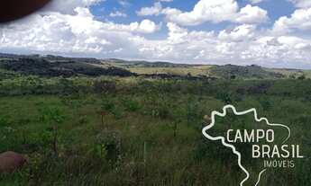 Imagem 2: FAZENDA 700 HECTARES PASTO NATIVO EM MINAS GERAIS !