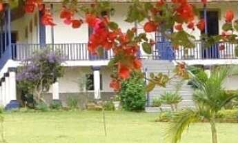 Imagem 2: RARIDADE, CASARÃO CENTENÁRIO EM LIBERDADE - MG !