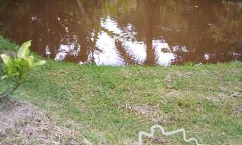 Imagem 3: SÍTIO 20.000M² COM PASTO FORMADO EM JACAREÍ !