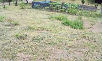 Imagem: SÍTIO 20.000M² COM PASTO FORMADO EM JACAREÍ