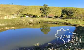 Imagem 2: SÍTIO 7 ALQUEIRES COM PASTO FORMADO EM SÃO LUIZ !