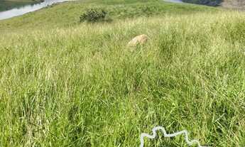 Imagem 3: ÁREA RURAL 5 ALQUEIRES BEIRA DE REPRESA EM SÃO JOSÉ DOS CAMPOS !