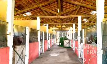 Imagem 2: HARAS 94.372M² EM TREMEMBÉ !