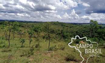 Imagem 4: FAZENDA 700 HECTARES PASTO NATIVO EM MINAS GERAIS !
