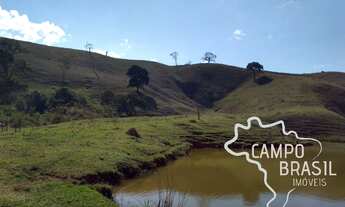 Imagem 6: SÍTIO 7 ALQUEIRES COM PASTO FORMADO EM SÃO LUIZ !