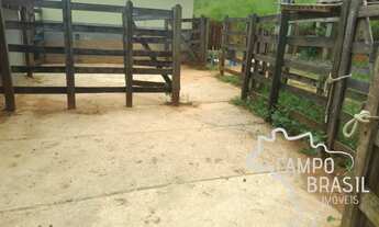 Imagem 2: CHÁCARA 12.000M² COM PASTO FORMADO EM PARAIBUNA !