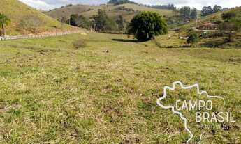 Imagem 4: SÍTIO 7 ALQUEIRES COM PASTO FORMADO EM SÃO LUIZ !