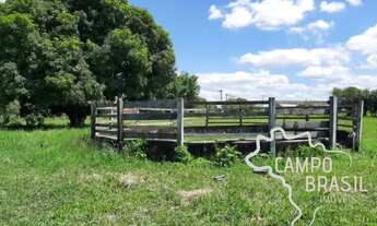 Imagem 4: HARAS 94.372M² EM TREMEMBÉ !