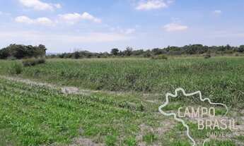 Imagem: ÁREA 2,5 ALQUEIRES PLANA EM CAÇAPAVA !