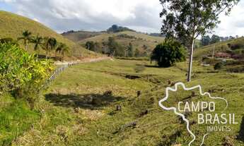 Imagem 7: SÍTIO 7 ALQUEIRES COM PASTO FORMADO EM SÃO LUIZ !