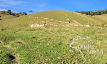 Imagem 3: SÍTIO 7 ALQUEIRES COM PASTO FORMADO EM SÃO LUIZ !