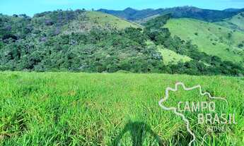 Imagem 4: SÍTIO 11,5 ALQUEIRES EM MONTEIRO LOBATO !