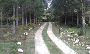 Imagem 6: ÓTIMA CHÁCARA DE 14.000M² COM LAGO E NASCENTE DE FÁCIL ACESSO EM PARAIBUNA !