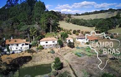 Imagem 3: FAZENDA 80 HECTARES TODA TRATORÁVEL TERRA DE CULTURA COM PLANTIO DE EUCALIPTO NO SUL DE MI
