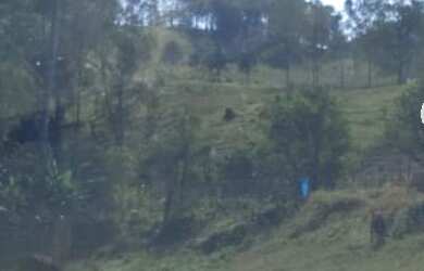 Imagem 3: SÍTIO 24.000M² COM RIO EM REDENÇÃO DA SERRA !