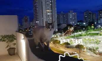 Imagem: APARTAMENTO COBERTURA 164M² NO JARDIM SATÉLITE