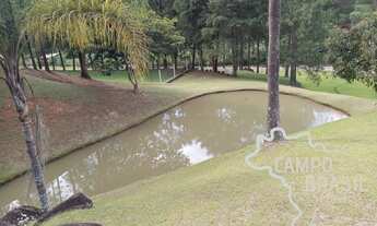 Imagem 3: CHÁCARA 18.000M² EM MONTEIRO LOBATO !