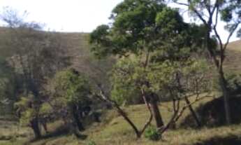 Imagem: SÍTIO 24.000M² COM RIO EM REDENÇÃO DA