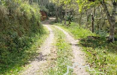 Imagem 4: SÍTIO 2,8 ALQUEIRES EM MONTEIRO LOBATO !