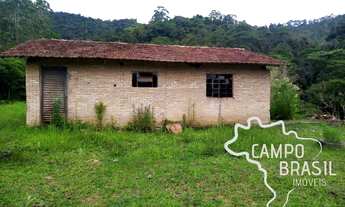 Imagem 5: SÍTIO 7 ALQUEIRES NO ASFALTO COM 30 MIL PÉS DE EUCALIPTO EM PARAIBUNA !