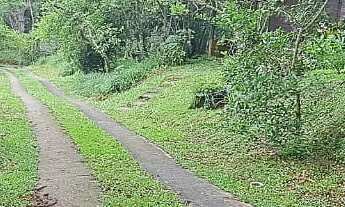 Imagem 7: RARIDADE ! SÍTIO VOLTADO PARA ECOLOGIA E PRESERVAÇÃO AMBIENTAL EM PARAIBUNA !